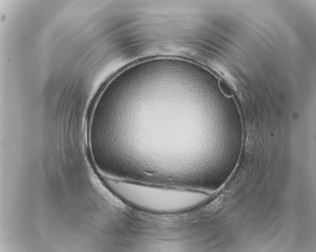 X0000087381080200705041939