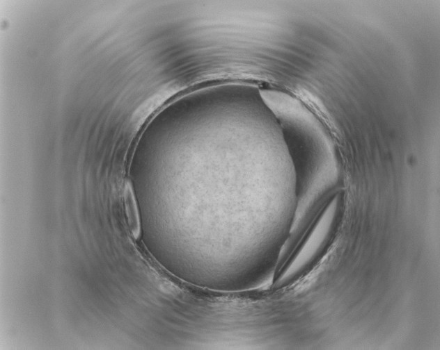 X0000087381081200705041939