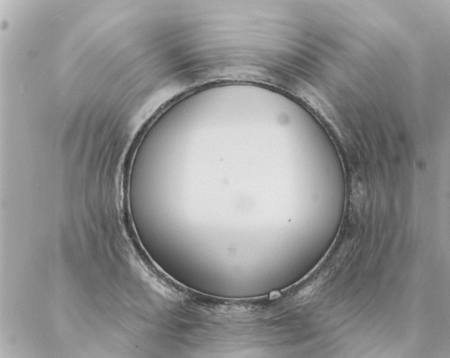 X0000087381082200705041939