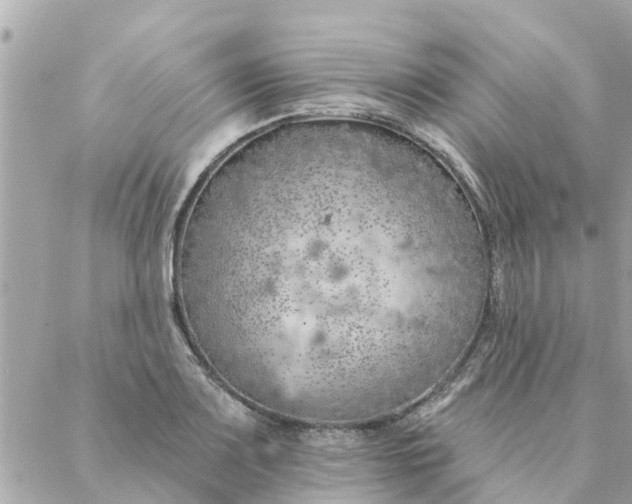 X0000087381083200705041939