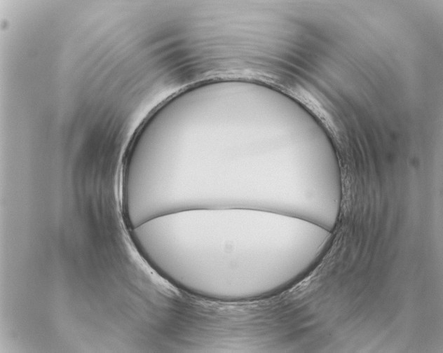 X0000087381084200705041939