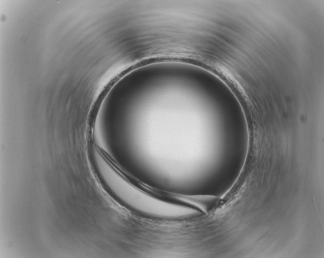 X0000087381085200705041939