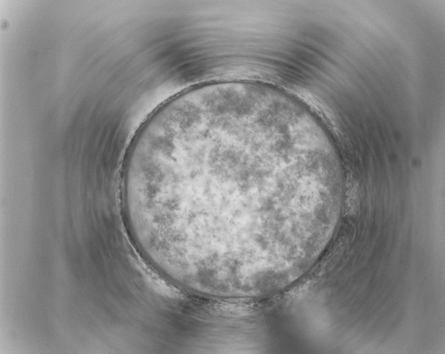 X0000087381086200705041939