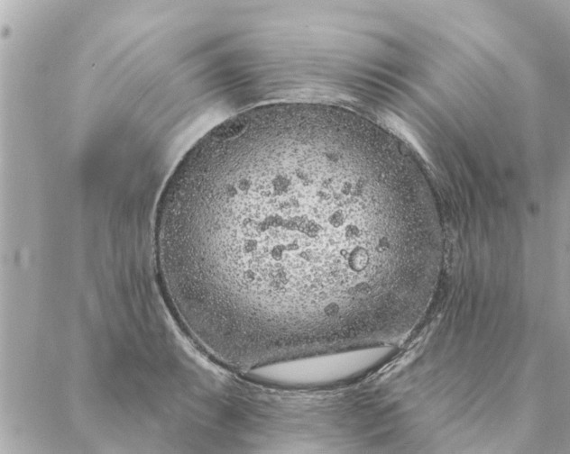 X0000087381087200705041939