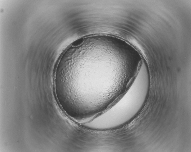 X0000087381088200705041939