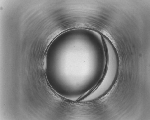 X0000087381089200705041939