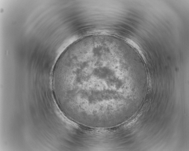 X0000087381090200705041939