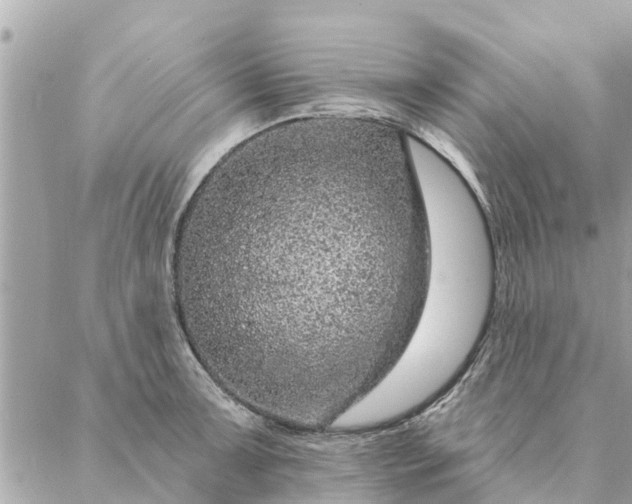 X0000087381091200705041939