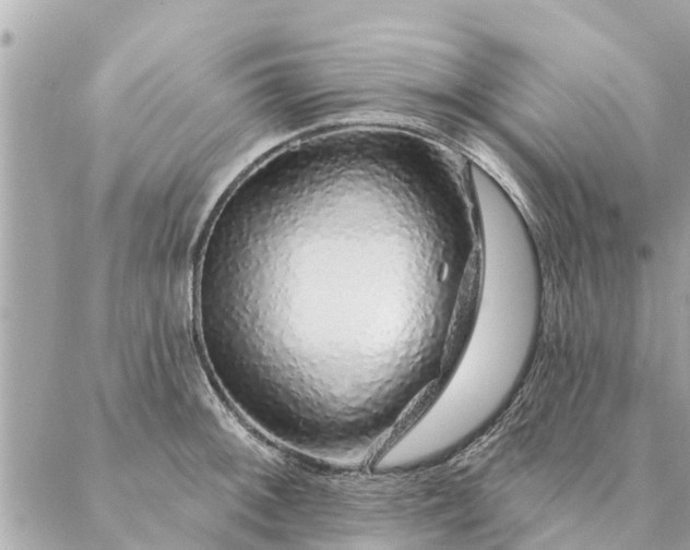 X0000087381092200705041939