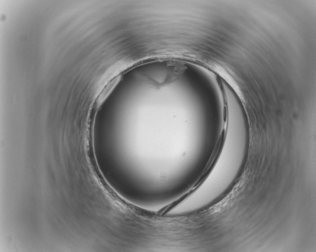 X0000087381093200705041939