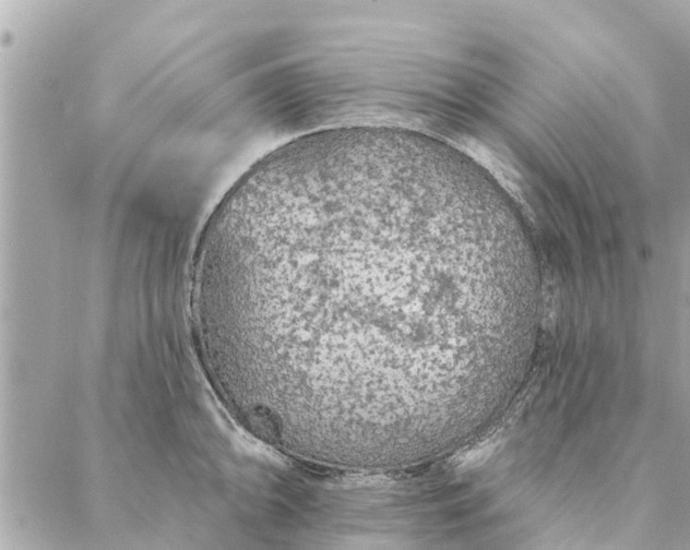 X0000087381094200705041939