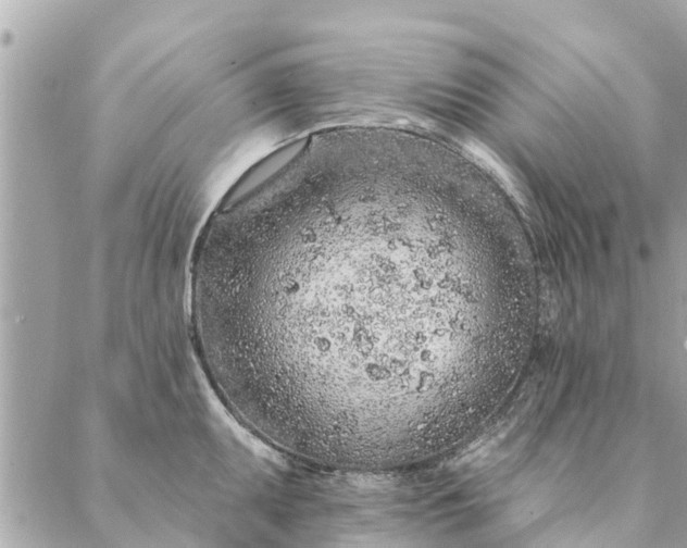 X0000087381095200705041939