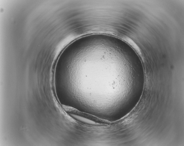 X0000087381096200705041939