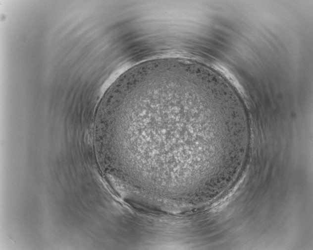 X0000087381097200705041939