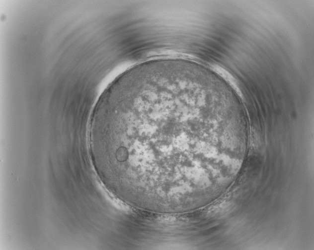 X0000087381098200705041939