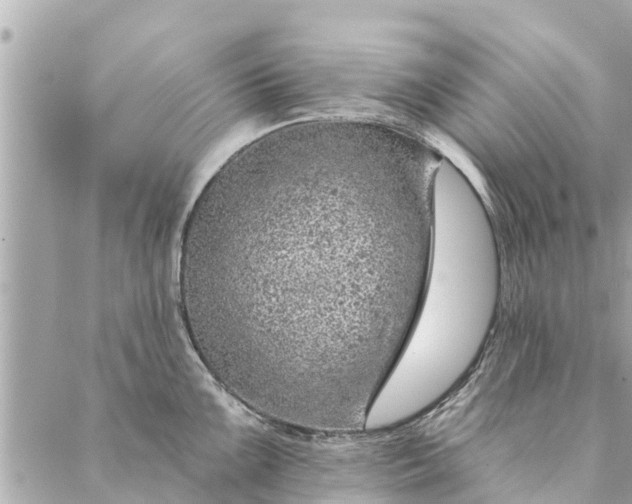 X0000087381099200705041939