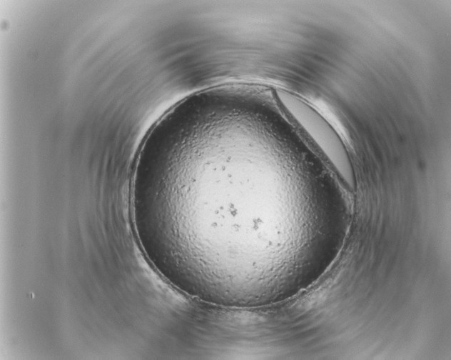 X0000087381100200705041939