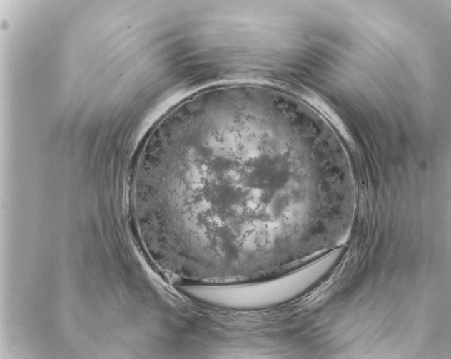 X0000087381101200705041939