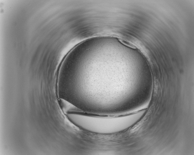 X0000087381102200705041939