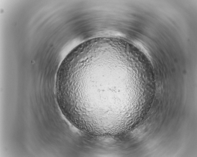 X0000087381103200705041939