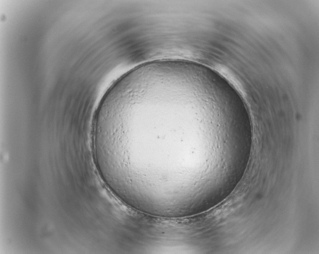 X0000087381104200705041939