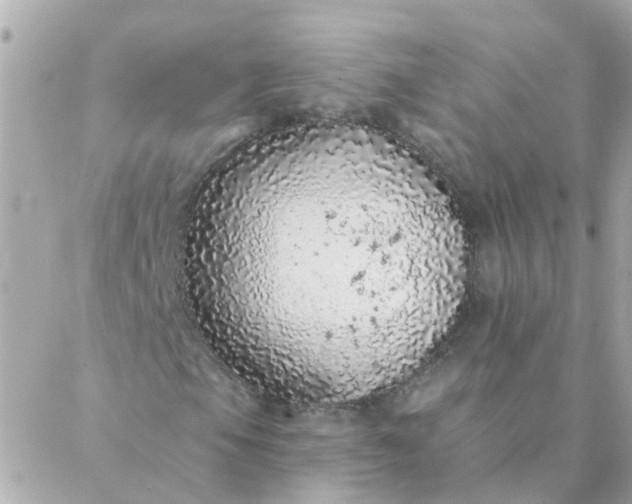 X0000087381105200705041938