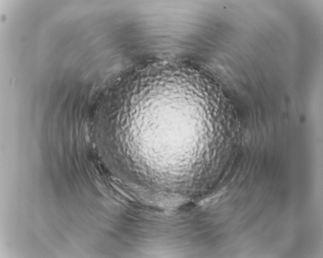 X0000087381106200705041938