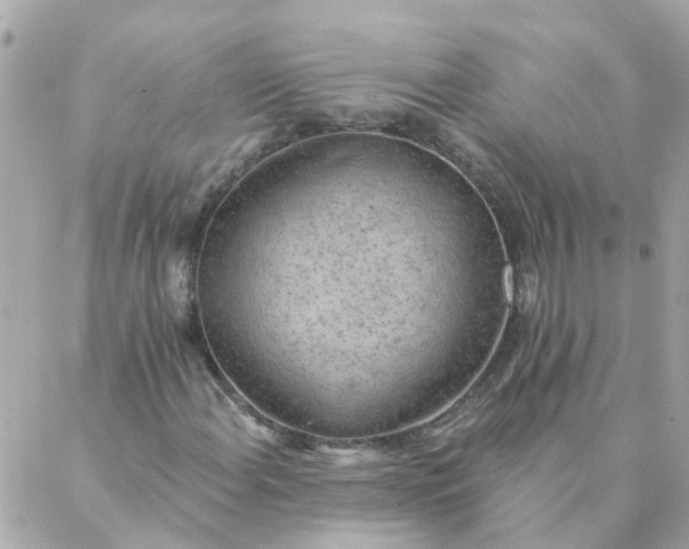 X0000087381108200705041938