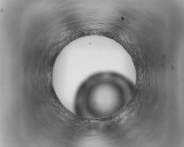 X0000087381109200705041938