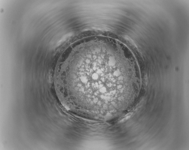 X0000087381110200705041938