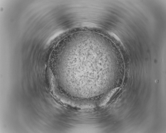 X0000087381112200705041938