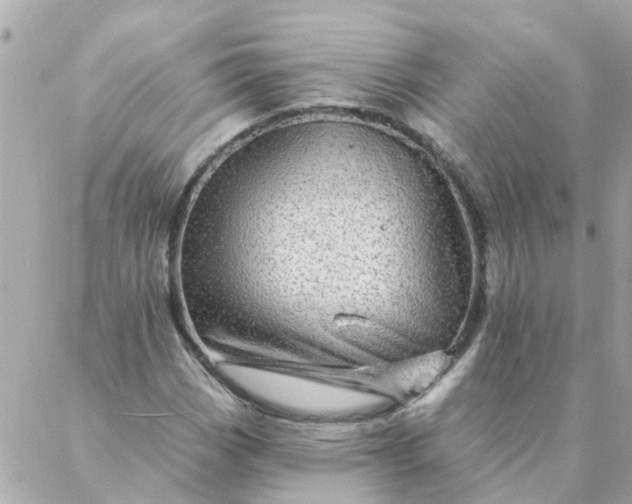 X0000087381113200705041938