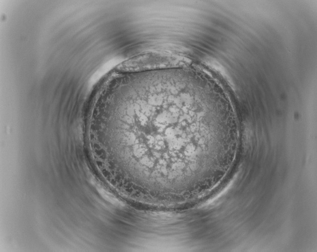 X0000087381114200705041938