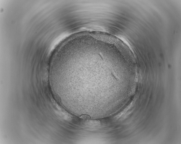 X0000087381115200705041938