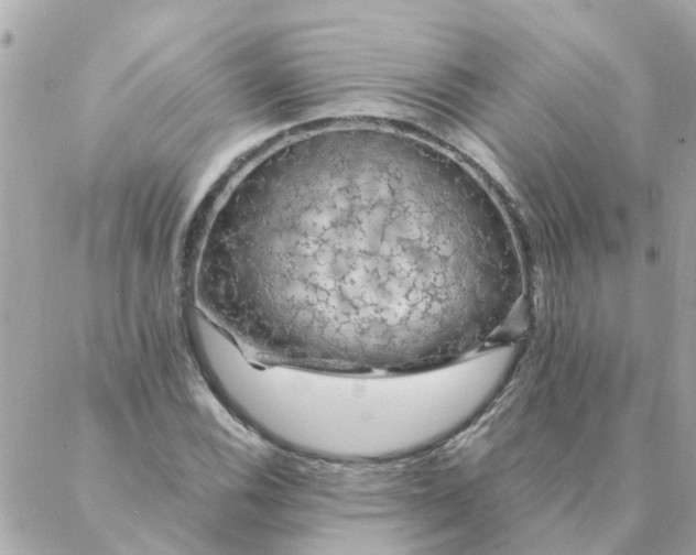 X0000087381116200705041938