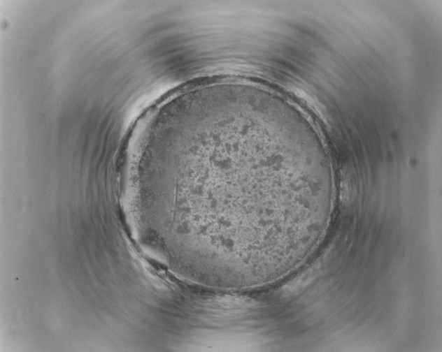 X0000087381117200705041938