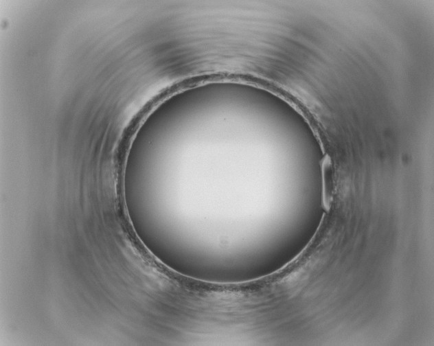 X0000087381118200705041938