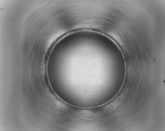 X0000087381119200705041938