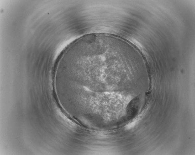 X0000087381120200705041938