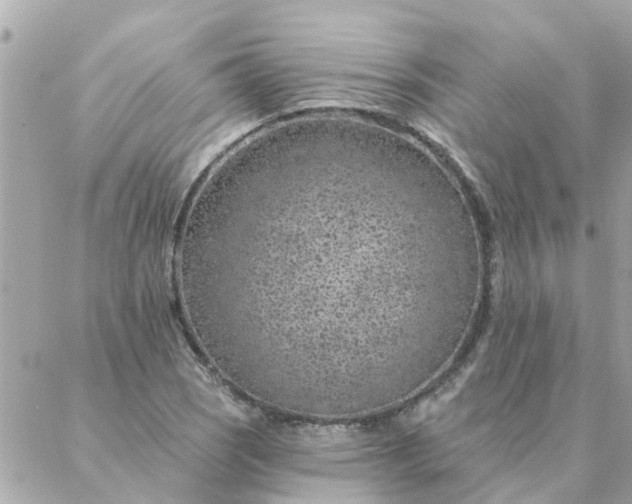 X0000087381121200705041938