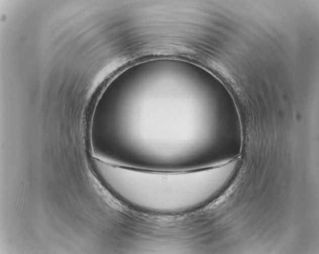 X0000087381122200705041938