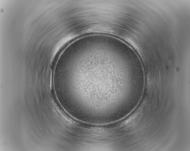 X0000087381123200705041938