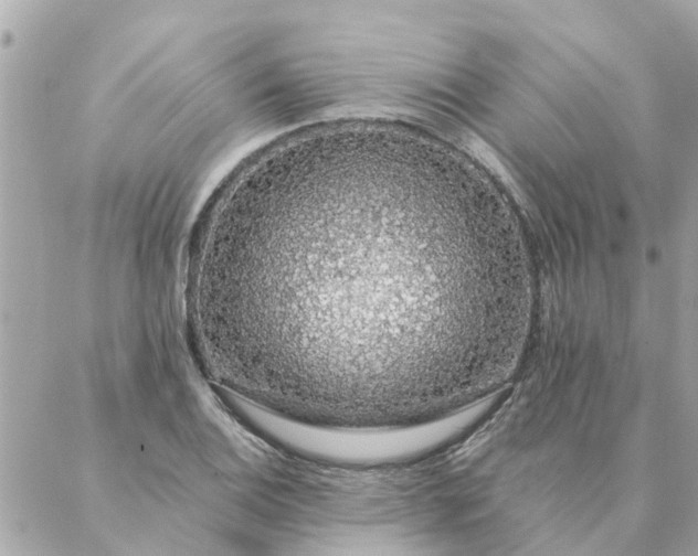 X0000087381124200705041938