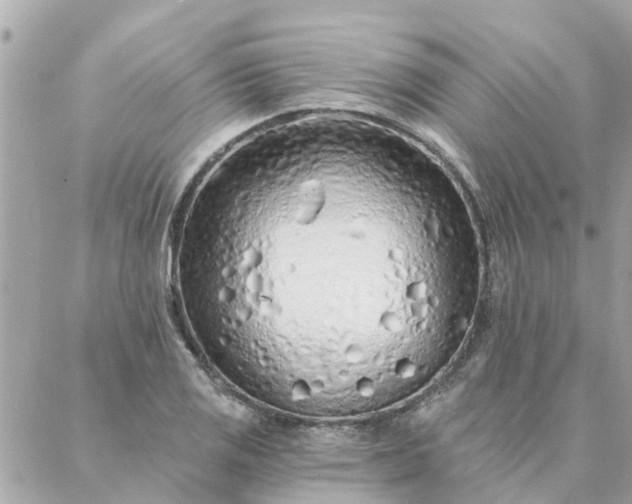 X0000087381125200705041938