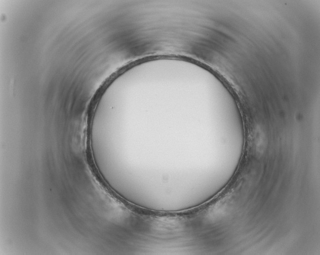 X0000087381126200705041938