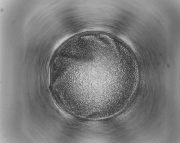 X0000087381127200705041938