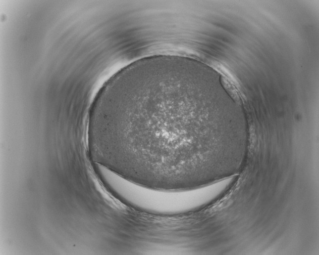 X0000087381128200705041938