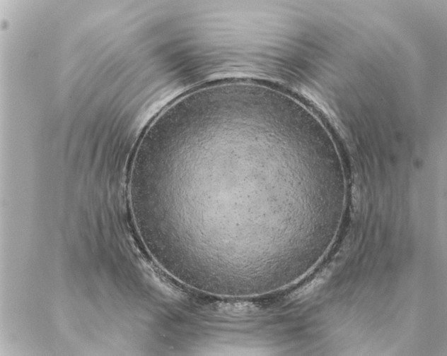 X0000087381129200705041938