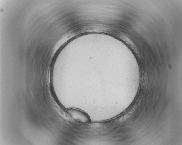 X0000087381130200705041938