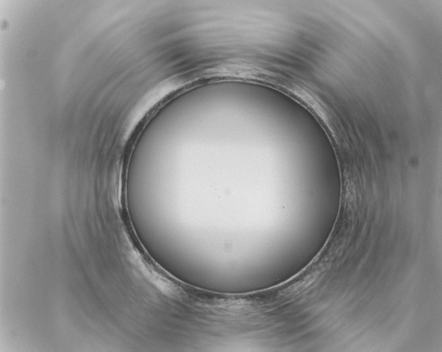 X0000087381131200705041938